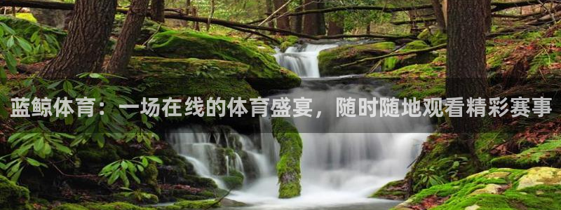 球神直播体育足球：蓝鲸体育：一场在线的体育盛宴，随时随地观看精彩赛事