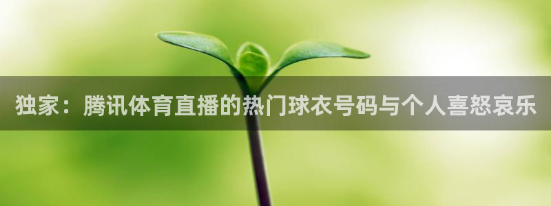 球神直播网免费直播在线观看：独家：腾讯体育直播的热门球衣号码与个人喜怒哀乐