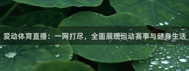 球神体育直播在线：爱动体育直播：一网打尽，全面展现运动赛事与健身生活