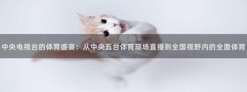 球神直播网免费直播在线观看：中央电视台的体育盛宴：从中央五台体育现场直播到全国视野内的全面体育