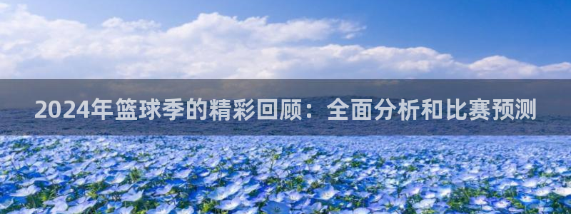 球神直播免费直播：2024年篮球季的精彩回顾：全面分析和比赛预测