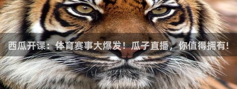 球神直播体育在线观看网站：西瓜开课：体育赛事大爆发！瓜子直播，你值得拥有!