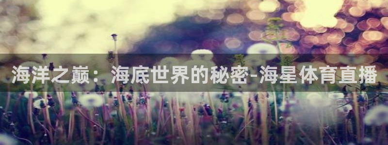 足球球神直播在线观看：海洋之巅：海底世界的秘密-海星体育直播