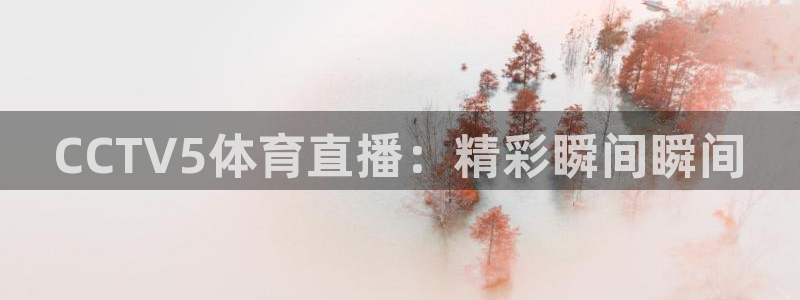 球神直播在线直播免费观看：CCTV5体育直播：精彩瞬间瞬间