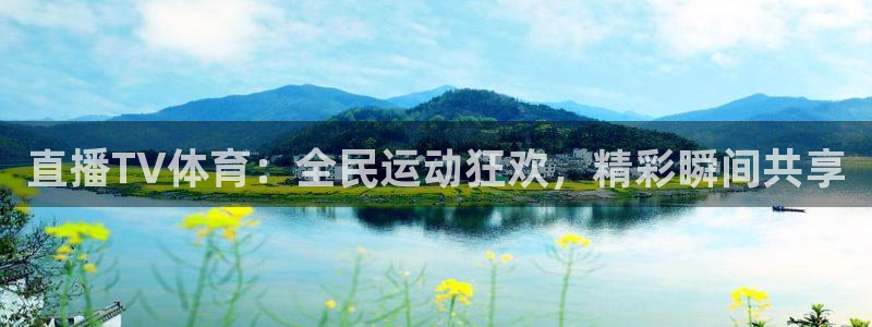 球神看球直播：直播TV体育：全民运动狂欢，精彩瞬间共享