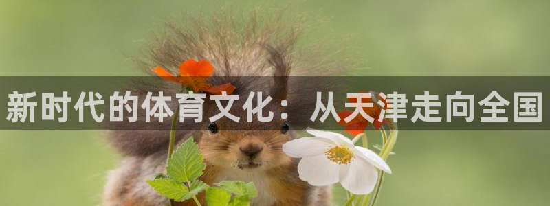 球神直播体育足球：新时代的体育文化：从天津走向全国